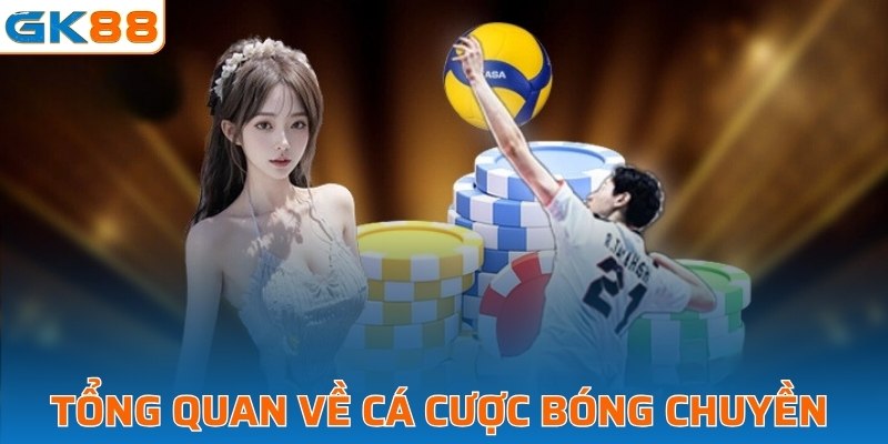 Tổng quan về cá cược bóng chuyền 