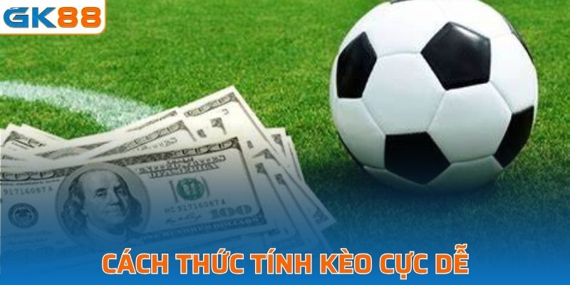 Hướng dẫn chi tiết cách tính điểm