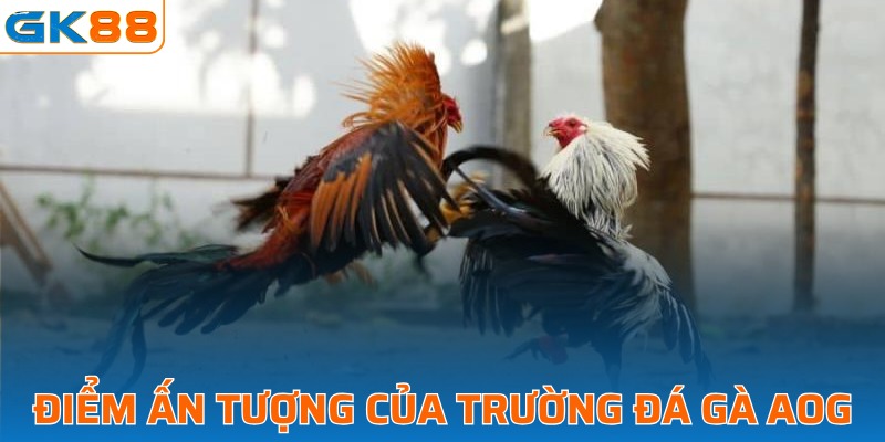 Ưu điểm đặc sắc của đấu trường AOG